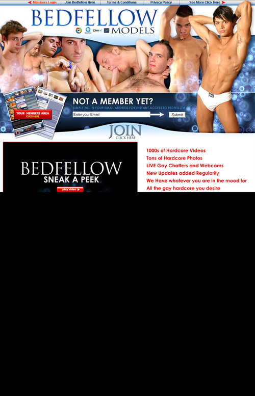 Click here to enter bedfellowmodels.com