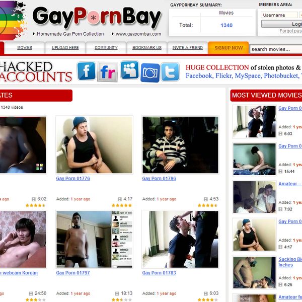 Click here to enter gaypornbay.com